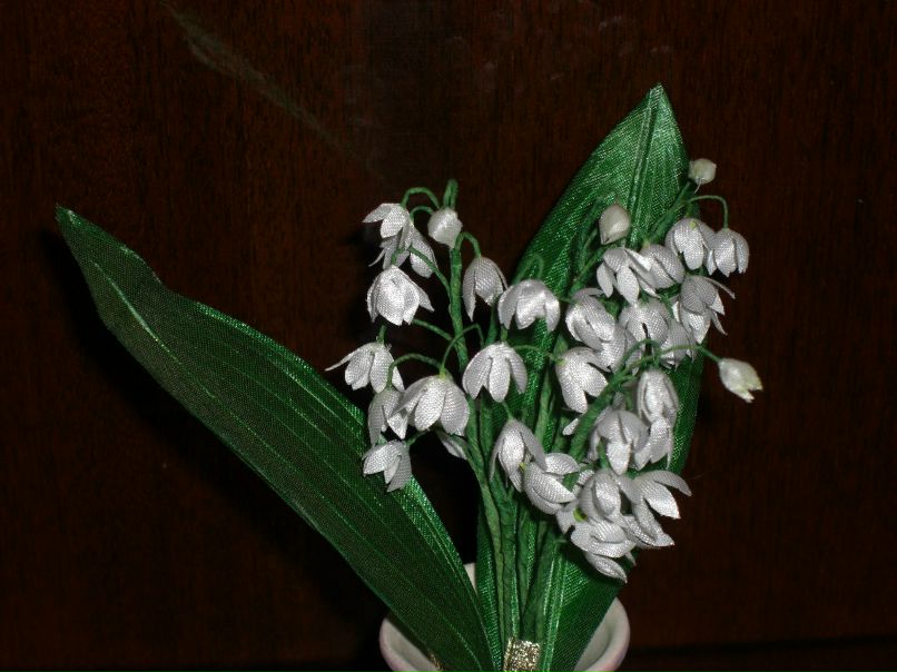 Галя Зайцева | 