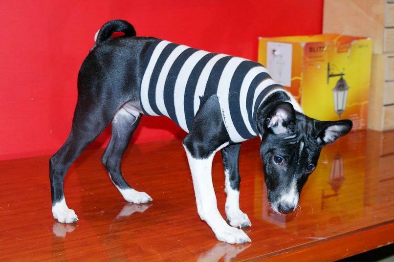 Каттана Ушакова | Москва