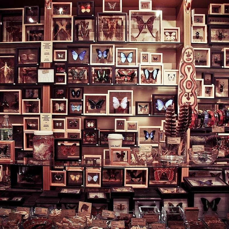 Наталья Мазуренко | Санкт-Петербург