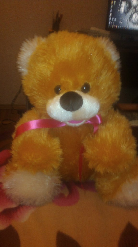 Руслана Поддубняк | Киев