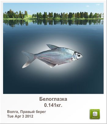 Ярослав Хамдиев | Сургут