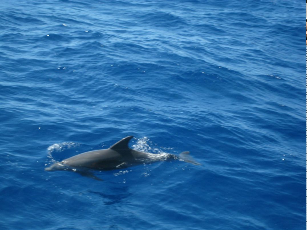 Анна Богданова | Санкт-Петербург