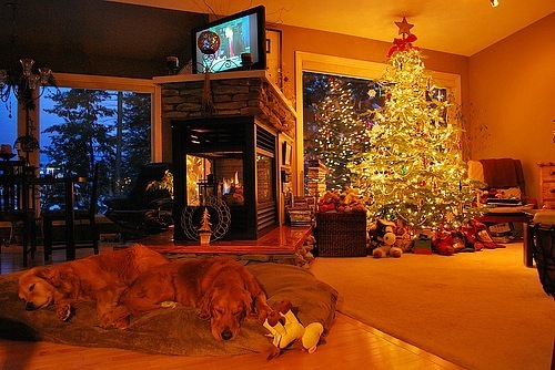 №40, Кристина Буш, 32 года, Лобня №40, Кристина Буш, 32 года, Лобня