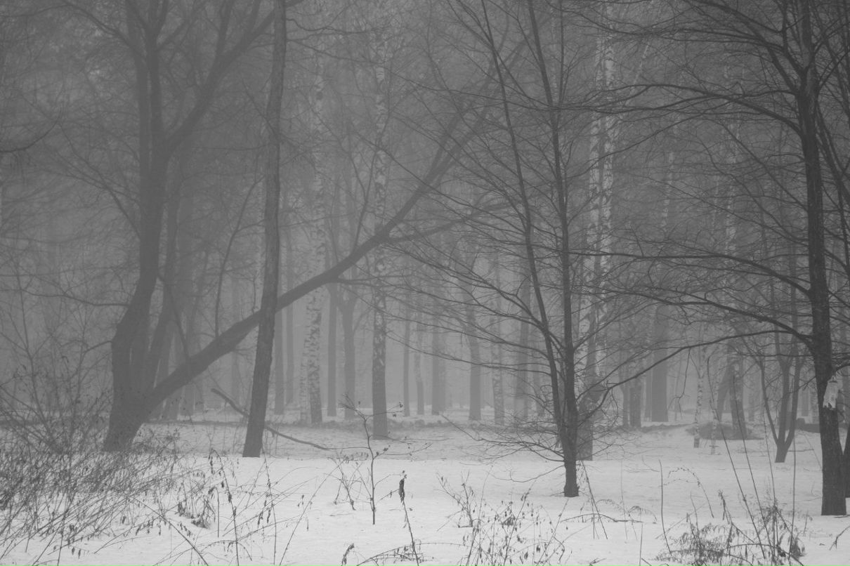 Василий Зислин | 