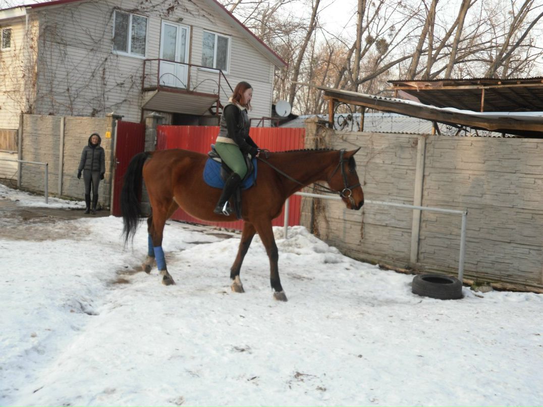 Елизавета Пасичник | Киев