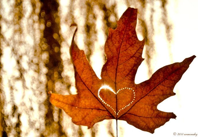 Анастасия Анохина | Москва