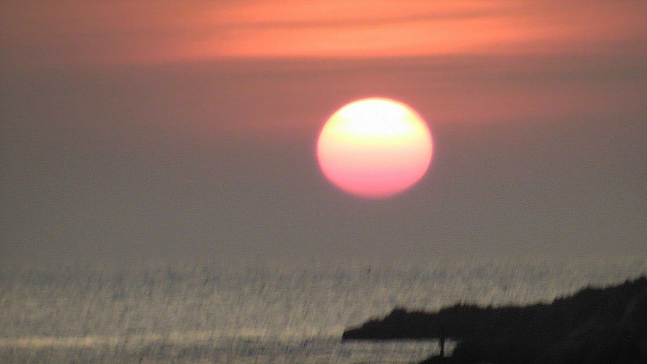 Tosik Cocosik | Владивосток