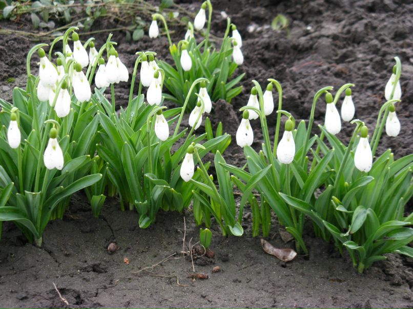 Надежда Могилина | Севастополь