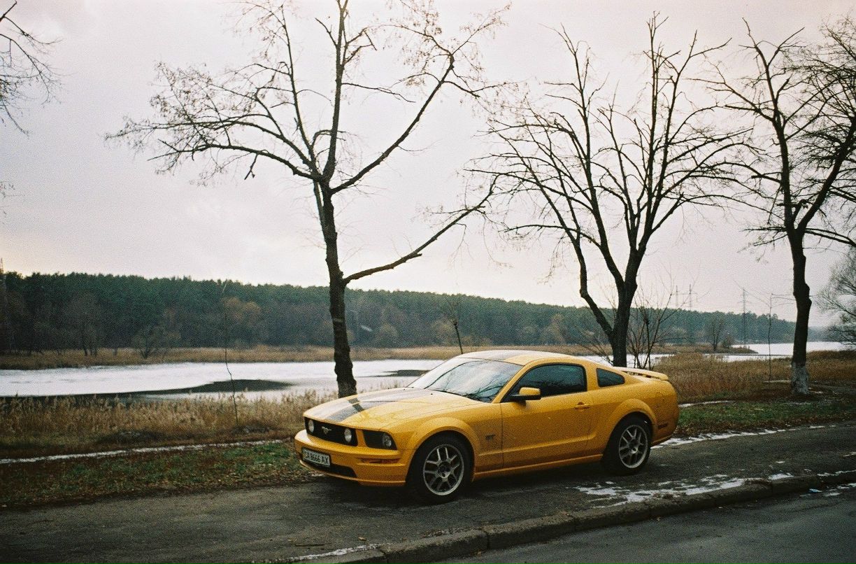 Антон Соловей | 