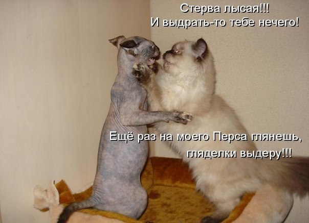 Екатерина Окунёва | Моздок
