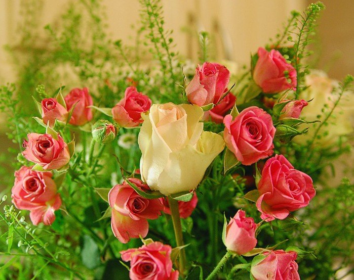 Николай Мельников | Киев