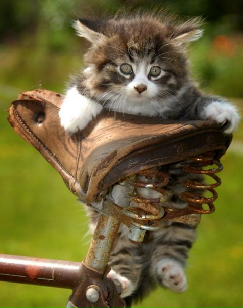 №3, Ильмира Низамова, 38 лет, Москва №3, Ильмира Низамова, 38 лет, Москва