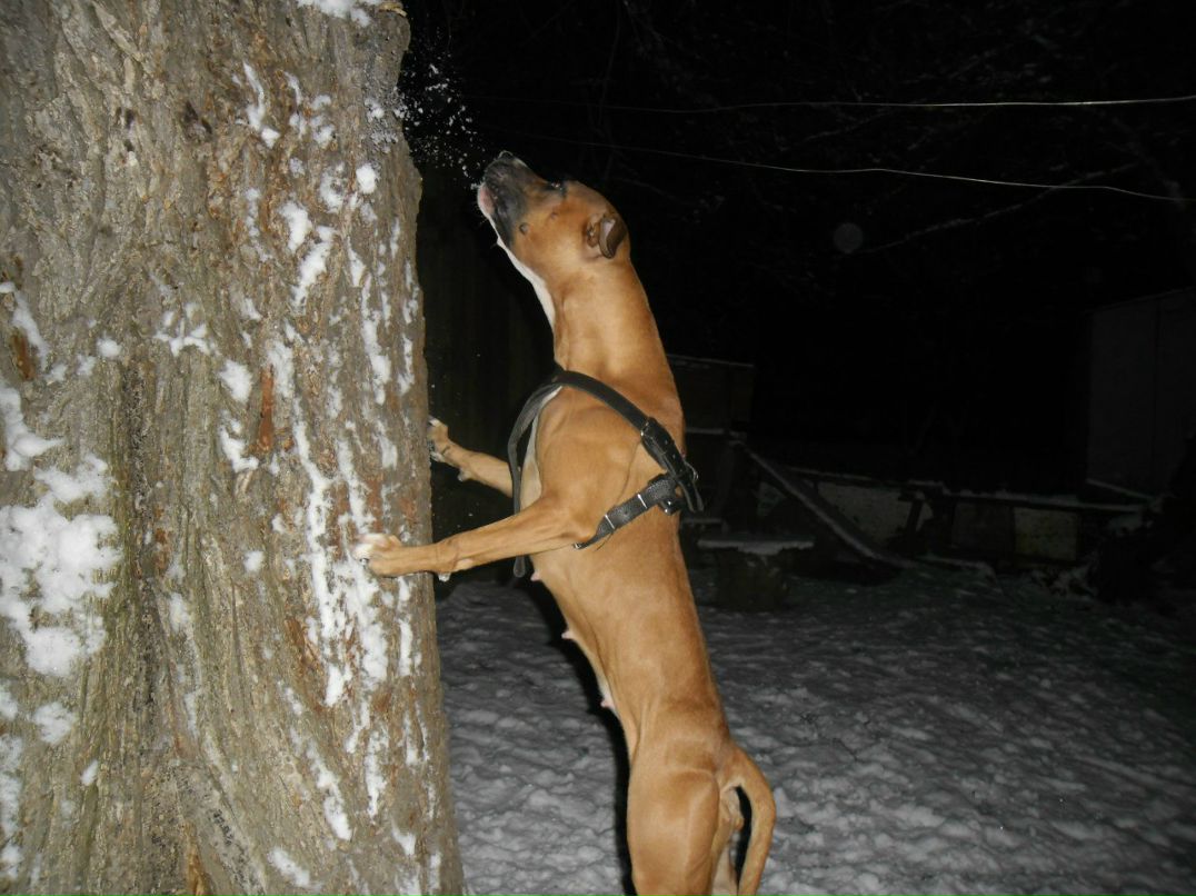 Александр Александров | Запорожье