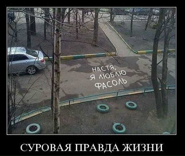 №113, Евгения Ковтун, Мариуполь №113, Евгения Ковтун, Мариуполь