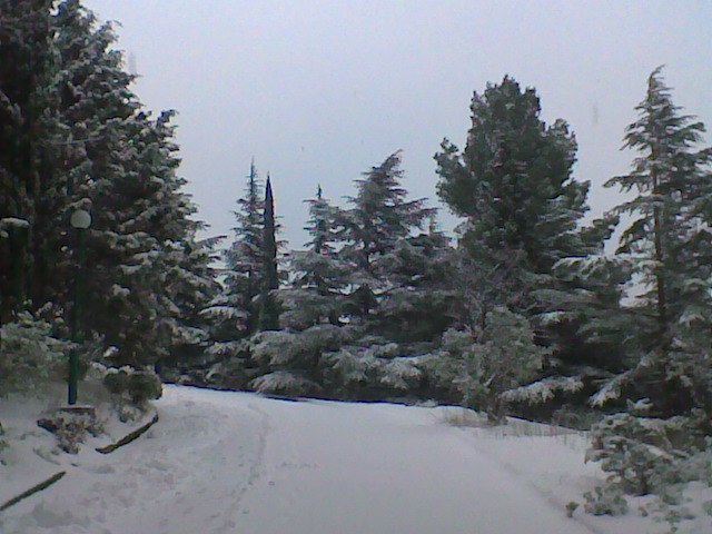 Валентина Мазур | Севастополь