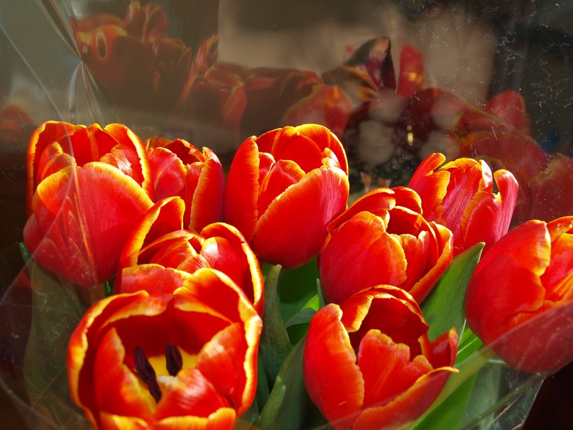 Ksu Петропольская | Нижневартовск