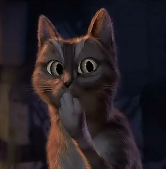 Родион Ковалёв !Ненавижу тупыХ! | Санкт-Петербург