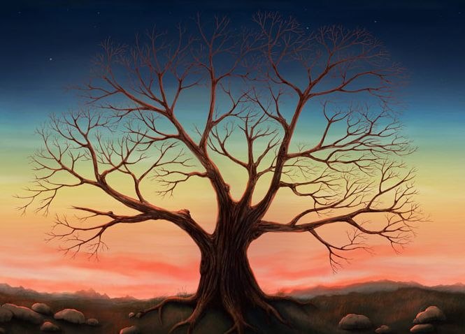 Анастасия Коваленко 