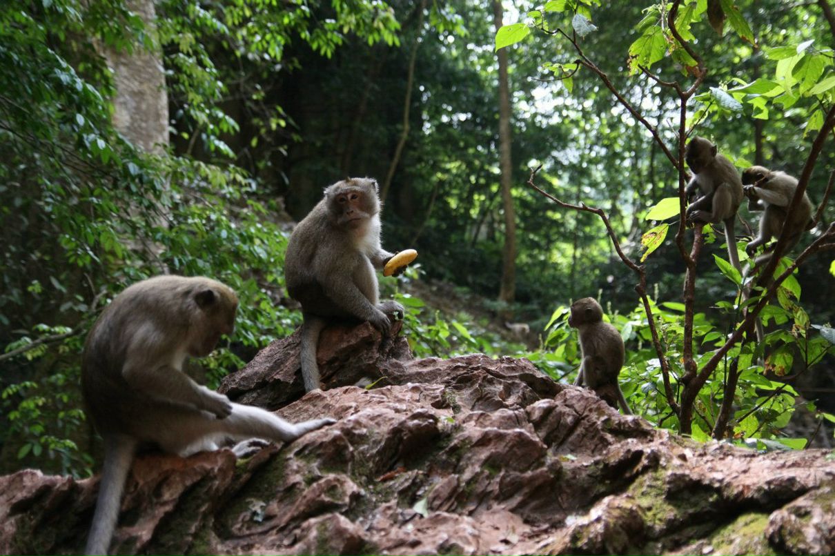 Александр Ковалёв | Paris