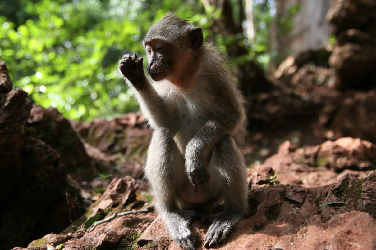 Александр Ковалёв | Paris