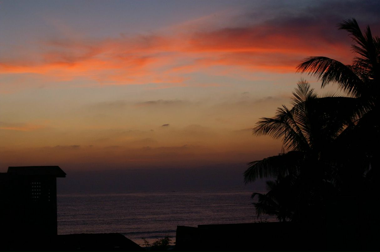 Ольга Кужель | Киев