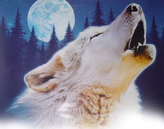 Сергей Ларченко | Магнитогорск