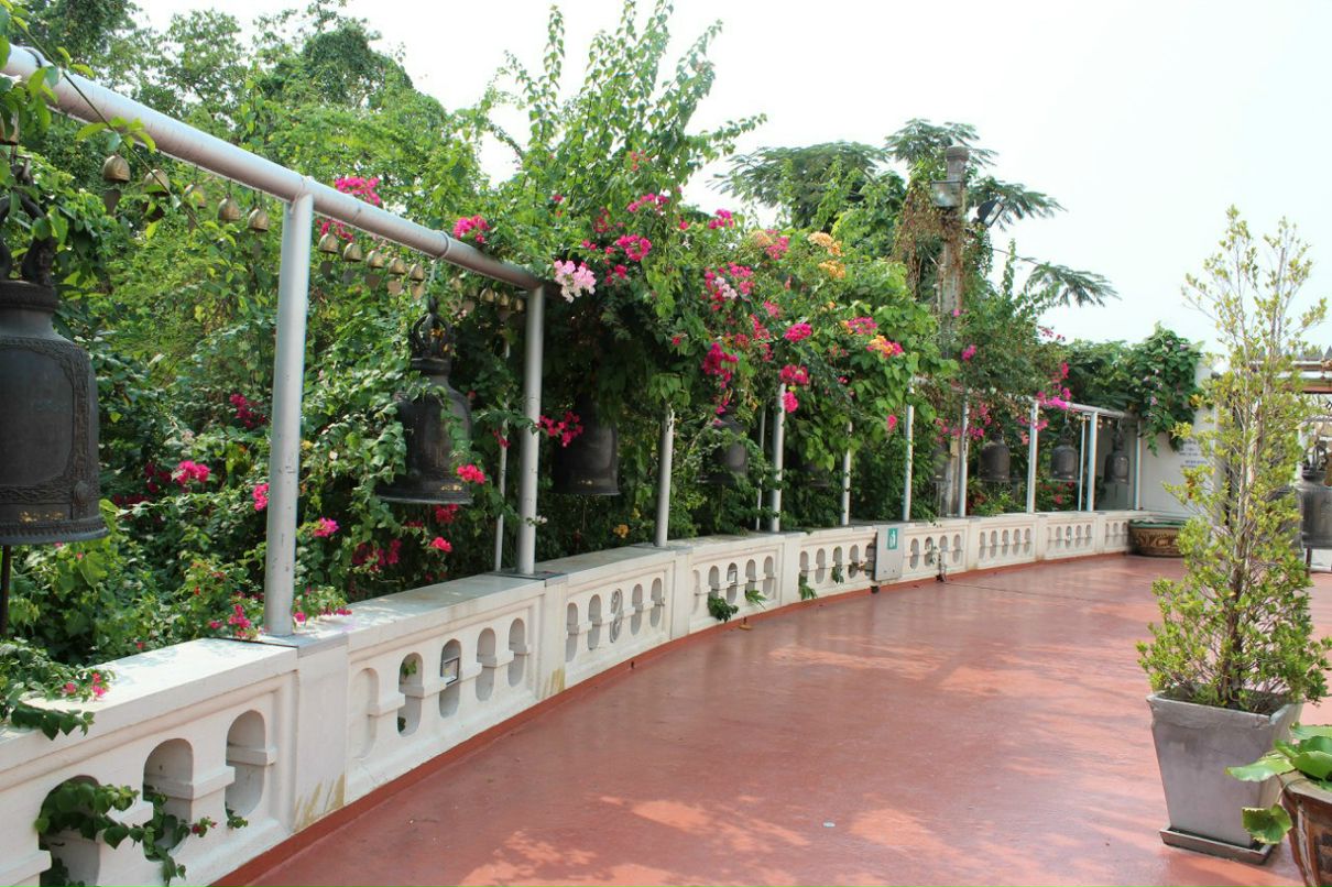 Иван Лавруков | Петрозаводск