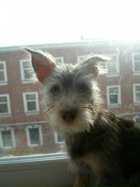 №157, Олеся Безбах, 44 года, Санкт-Петербург №157, Олеся Безбах, 44 года, Санкт-Петербург