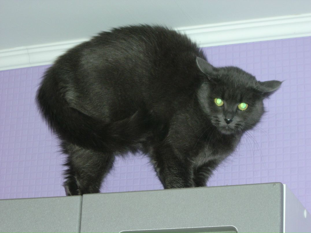 Женя Марик | Санкт-Петербург