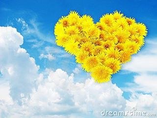 №12, Sait Eser, Kayseri, Турция №12, Sait Eser, Kayseri, Турция