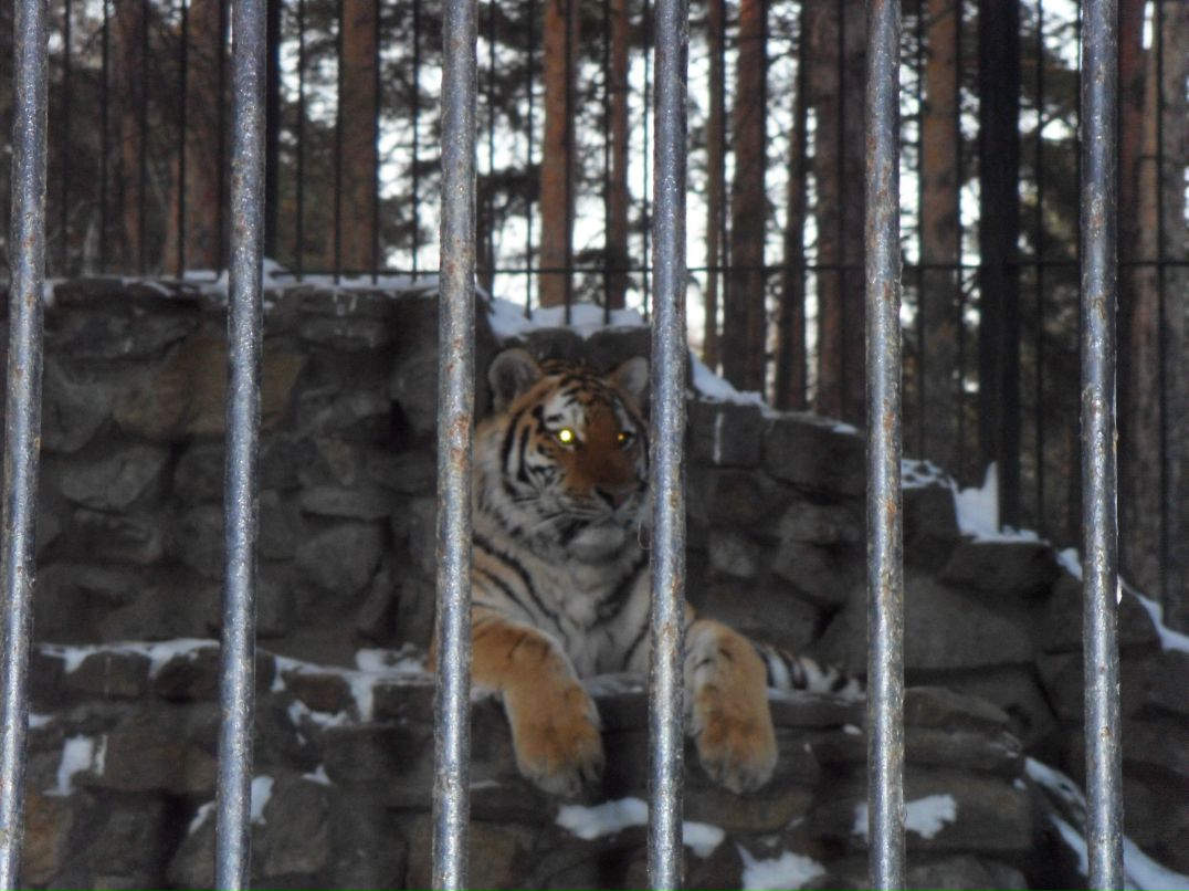 Павел Волков | Новосибирск