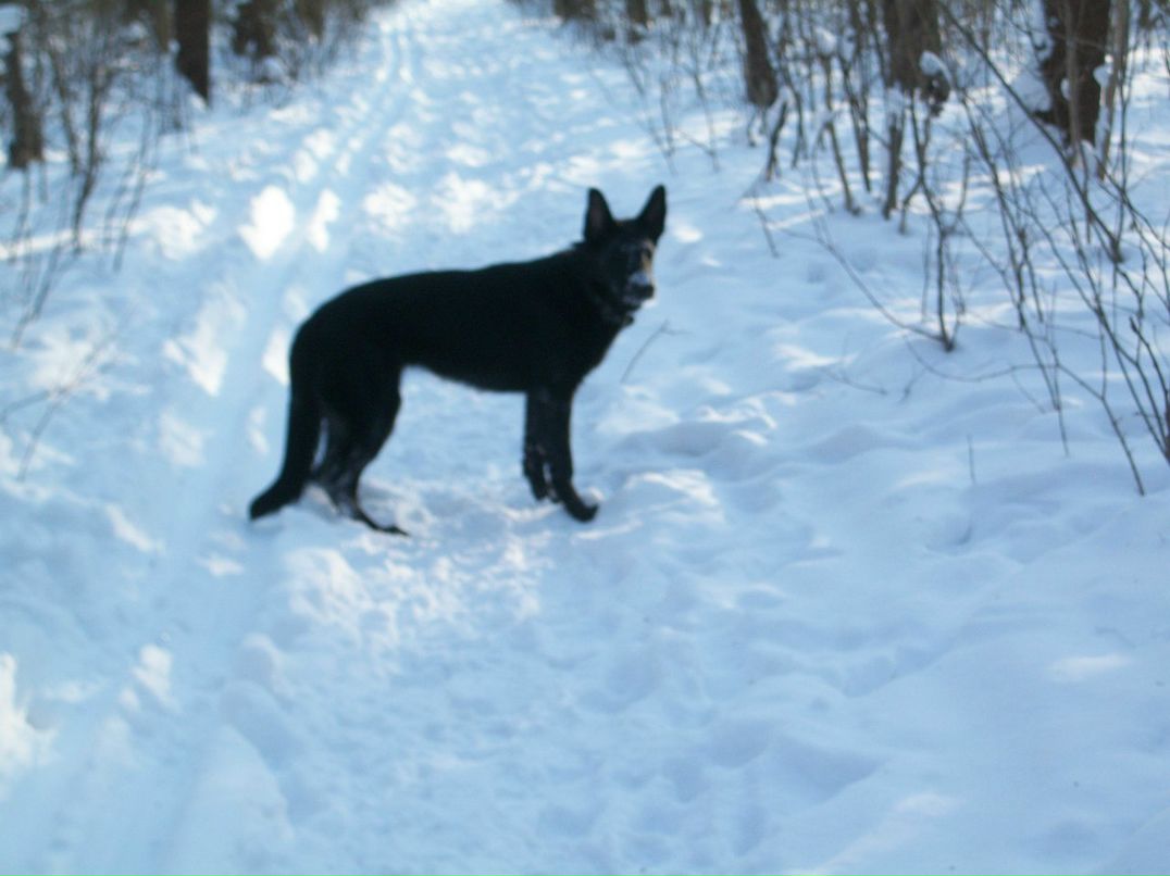 Зинаида Чернышова | Полтава