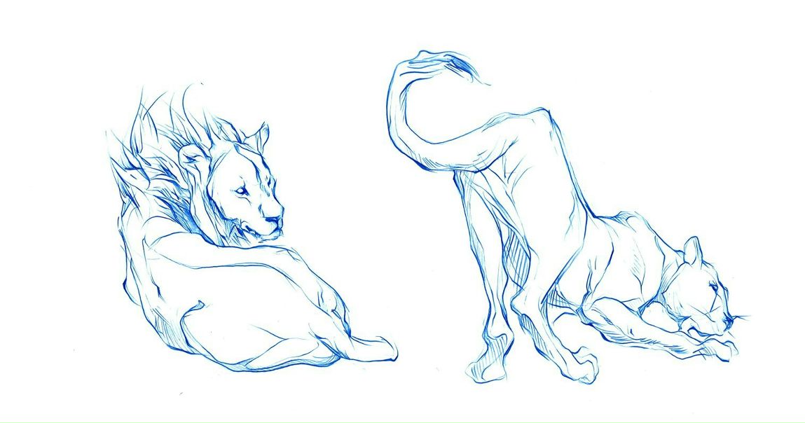 №159, Ольга Петрова, Челябинск №159, Ольга Петрова, Челябинск