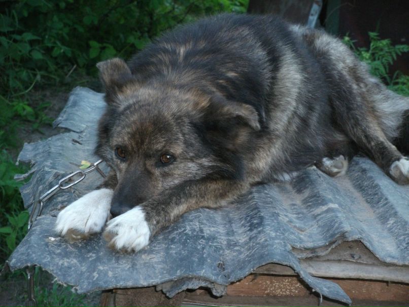Павел Шишлинов | Санкт-Петербург