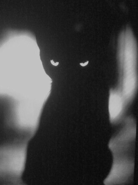 Анна Рыкун *EGO* | Москва