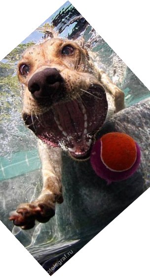 Григорий Балашов Zatvornick | Ковров