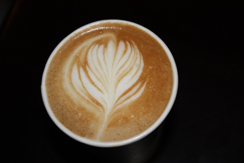 Наталья Жемойтук | Пудож