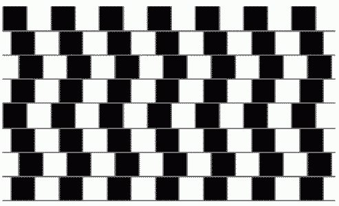 Etrea Flamenique el | Омск