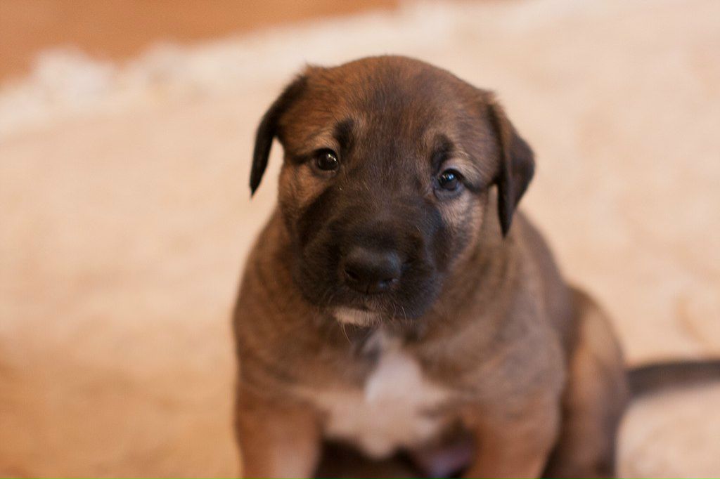 Елена Шаповалова | Москва