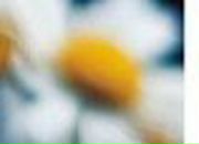 Оксана Кравчук | Ровно