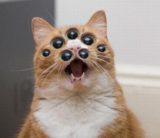 Андрей Комаров | Киев