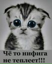 №18 Елена Олисова-Васильева 17.12: профиль, фото, статус - ВКонтакте №18 Елена Олисова-Васильева 17.12: профиль, фото, статус - ВКонтакте