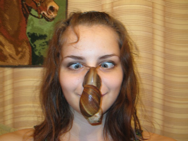 №41, Екатерина Докалова, Озерск №41, Екатерина Докалова, Озерск