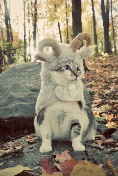 Вадим Киба | Санкт-Петербург