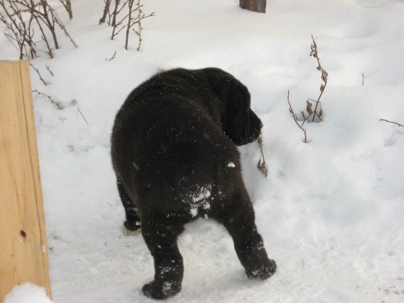Ольга Иванова | Санкт-Петербург