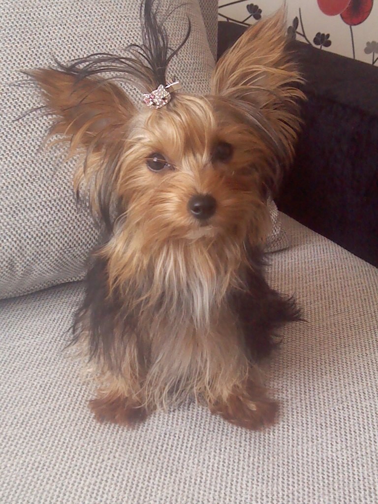 Елена Захаренкова | Киев