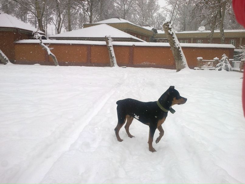 Азиз Мирзаев | Ташкент