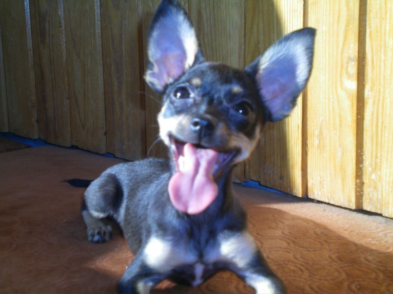 Наталья Демидова | Тюмень