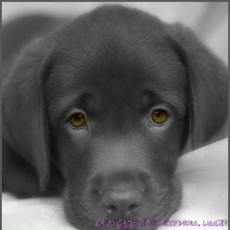 Надя Дружинина | Нижневартовск