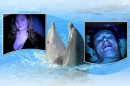 Фотография Кристина Иващенко